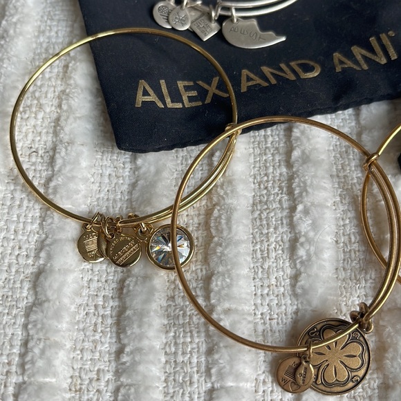 ALEX AND ANI Silver & Gold Bangle Bundle - Picture 2 of 5